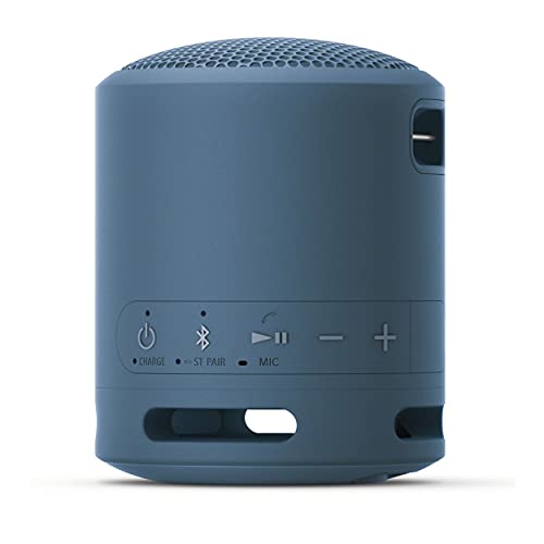 Sony XB13 Extra BASS Portable IP67 Waterproof/Dustproof Wireless Bluetooth