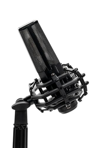 CAD Audio E150 Large Diaphragm Cardioid Condenser Microphone - style: E150 - Cardioid