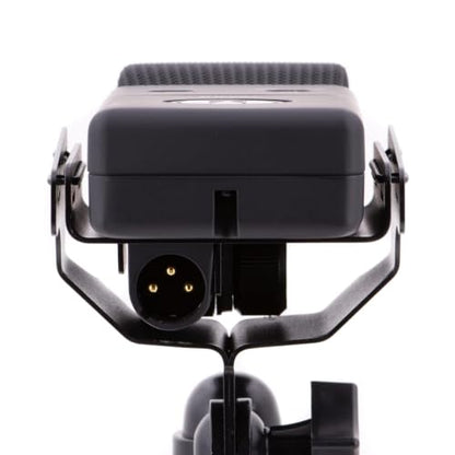 CAD Audio E100SX Large Diaphragm Supercardioid Condenser Microphone - style: E100SX - Large Diaphragm Supercardioid