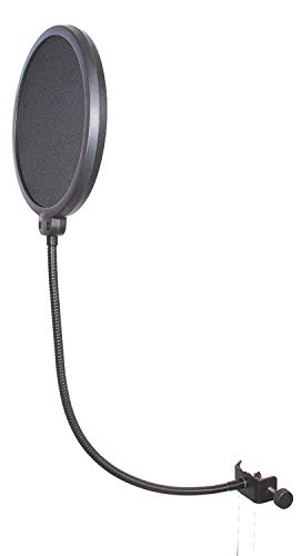 sE Electronics X1 A Large-Diaphragm Condenser Microphone Bundle with Pop Screen Filter