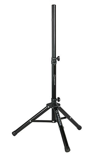 10" Portable Rechargeable Battery Powered 1000W Pro DJ Amplified Loud Speaker with 2 Wireless Microphones Echo Bluetooth USB SD Card Aux MP3 FM Radio PA System LED Ring Karaoke Tripod Stand - style: 10” with Rechargeable Battery