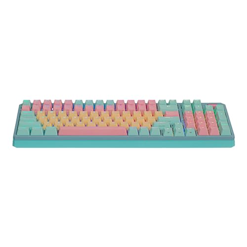Cooler Master MK770 Macaron Wireless Mechanical RGB Gaming Keyboard, Kailh Box V2 Click White Switches, Gasket Structure, Hot-Swappable, Bluetooth|2.4GHz, Tactile 3-Way Dial, QWERTY (MK-770-MCKW1-US) - style: MK770 Macaron White