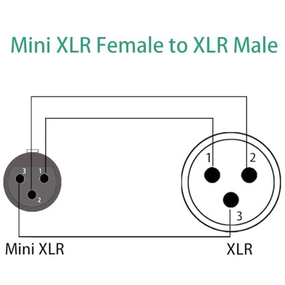 3 Pin Mini XLR Female (TA3F) to Regular XLR Male Pro Lapel Microphone Cable - 1ft (Pack of 2) - size: 1 feet (Pack of 2)