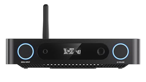 FiiO K13 R2R Desktop DAC & Headphone Amp, High-Fidelity 24Bit R2R DAC, Powerful 2400mW Output, LDAC Bluetooth Streaming, Dual Power Supply, 10-Band PEQ, Balanced XLR & RCA Audio Output (Black) - color: Black