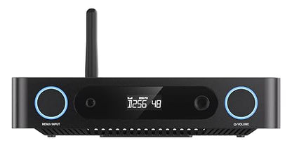 FiiO K13 R2R Desktop DAC & Headphone Amp, High-Fidelity 24Bit R2R DAC, Powerful 2400mW Output, LDAC Bluetooth Streaming, Dual Power Supply, 10-Band PEQ, Balanced XLR & RCA Audio Output (Black) - color: Black