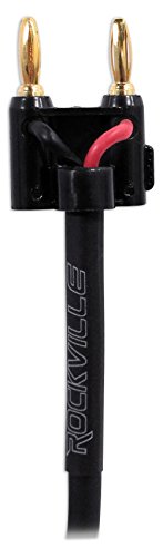 Rockville RCXBN10 16 Gauge 1/4" to Banana Speaker Cable, 10 Foot, 100% Copper, High-Fidelity Audio, Durable PVC Jacket, Flexible, for Home Audio and DJ Setups | 16 AWG, Black PVC Jacket, Pro Audio, DJ/Live Sound/Studio, Low Noise, Flexible, ROHS Compliant