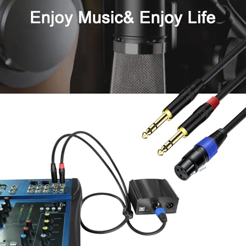 6.35mm Dual TRS to XLR Female Cable for Microphone, Mixer, Amplifier, 1.5 FT, Dual1/4 TRS Male to XLR Audio Cable, Y Splitter Patch Cord, 3-PinXLR to Dual 1/4 Converter Adapter Cable - size: 1.5Ft, 1Pack, style: Dual 1/4 to XLR Female