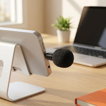 LALAFINA 2pcs Mini Portable Microphone 3.5mm Jack for Laptop Computer