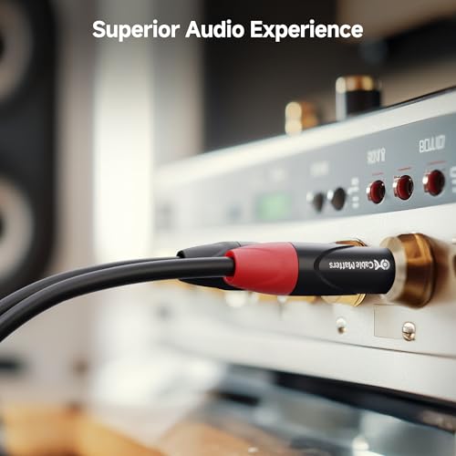 Cable Matters Dual 1/4 Inch TS to Dual RCA Cable, 10ft | 1/4 Inch to RCA Stereo Audio Interconnect Cable, for Audio Equipment - size: 10 Feet