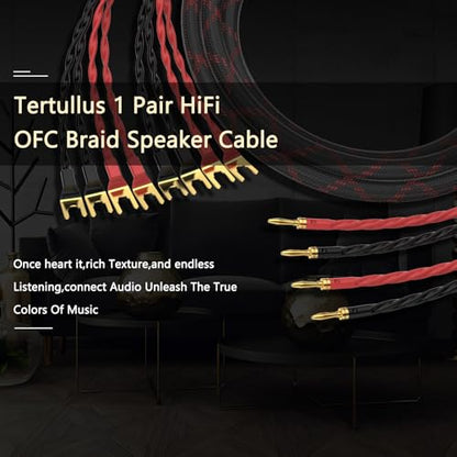Tertullus 1 Pair Biwire Speaker Cable 8 Spade Plugs 4 Gold Plated Banana Plugs (2.5m/8.20ft) - size: 8.20 ft