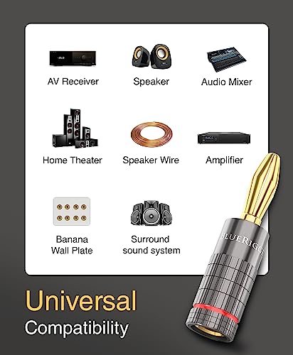 BlueRigger Banana Plugs 2 Pairs / 4 pcs (Closed Dual Screw) - 4 Pack Gold Plated Speaker Plugs Connector for Speaker Wire, Amplifier, Receiver, Banana Wall Plate, Home Theater - size: 2 Pairs