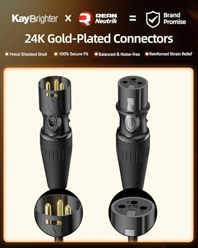 Microphone XLR Cable 10ft 1-Pack, 3-Pin Gold Plated Rean-Neutrik Connectors, 99.99% OFC Mic Cord, Nylon Braided Premium Male to Female XLR Microphone Cable for Mixer Interface - size: 10 FT, style: 1-Pack