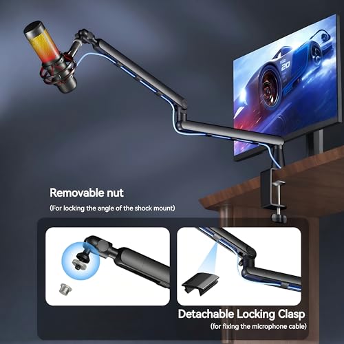Dual Microphone Boom Arm Stand with Desk Clamp Mount, 2KG Load Capacity, Cable Management, Adjustable Articulating Arm, Black