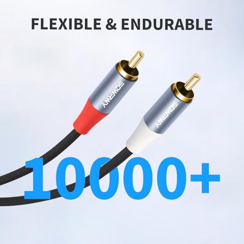10FT RCA Cables, 2RCA to 2RCA Audio Cable with Gold-Plated Connectors, Dual Shielded– Against Noise (Hum), Nylon Braided Jacket for Home Theater, Stereo Systems, TVs, Musical Instruments 2-Pack