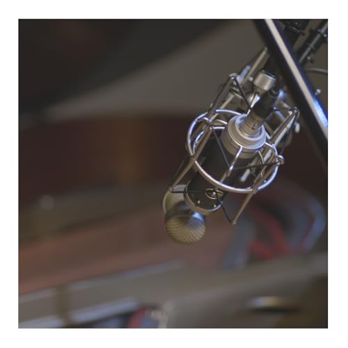 Blue Microphone Baby Bottle XLRCardioid Condenser Microphone for Recording, Streaming, Podcasting, Gaming, Mic with Large Diaphragm Cardioid Capsule, Shockmount & Protective Case