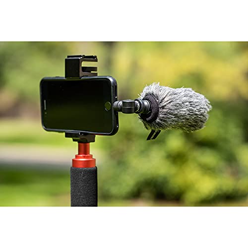 Saramonic SmartMic5 Di | Unidirectional Micro-Shotgun Microphone with Lightning for Apple iPhones and iPads for Videos, Vlogging, Live Streaming, Social Media Updates and More | Lightning connector with unidirectional pattern and shock mount for vlogging,