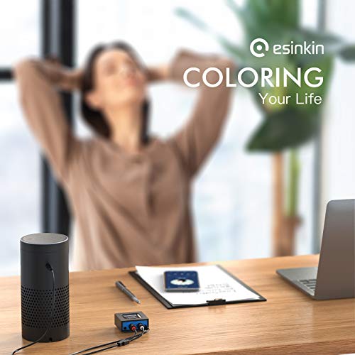 Esinkin Wireless Audio Receiver for Music Streaming Sound System Works with Smart Phones, Tablets and Car, Wireless Adapter for Speakers - size: Small