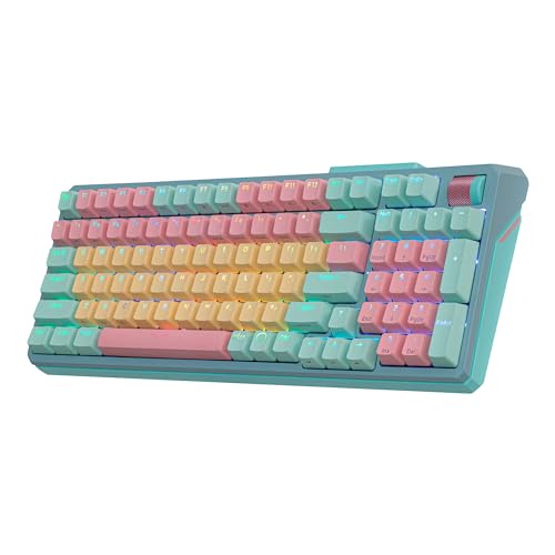 Cooler Master MK770 Macaron Wireless Mechanical RGB Gaming Keyboard, Kailh Box V2 Click White Switches, Gasket Structure, Hot-Swappable, Bluetooth|2.4GHz, Tactile 3-Way Dial, QWERTY (MK-770-MCKW1-US) - style: MK770 Macaron White