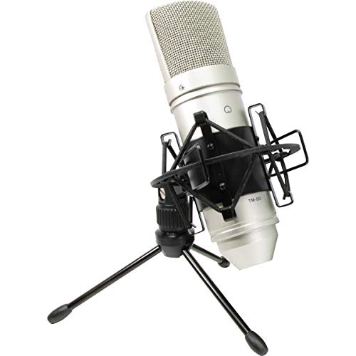 Tascam TM-80 Large Diaphagm Condenser Microphone,Silver