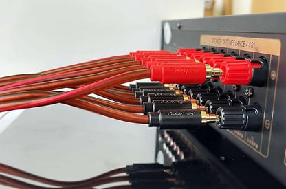 Speaker Wire with Banana Plugs,14 Gauge Speaker Cables, Oxygen-Free Copper(OFC)，2 Pack/6.6Feet - size: 6.6FT/Two cable