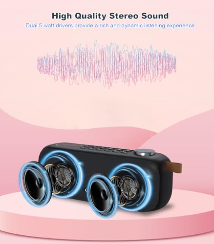 Portable Bluetooth Speaker FM Radio Digital, Support USB/SD Card MP3 Music Player/AUX/REC, Build-in 3000mAh Rechargeable Battery, 10W Powerful Speaker and Earphone Jack for Indoor Outdoor
