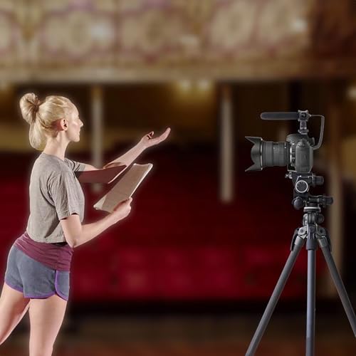 Pyle Camera-Mount Shotgun Microphone, Back Electret Condenser, Line-Gradient Pattern, 3.5mm Connector, 42dB Sensitivity, 50Hz-18kHz, Windscreen & Mic Holder, On-Camera Condenser Mic for Clear Audio
