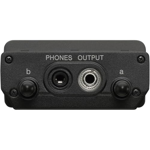 Sony UWP-D22 Integrated Digital Wireless Handheld Microphone Package