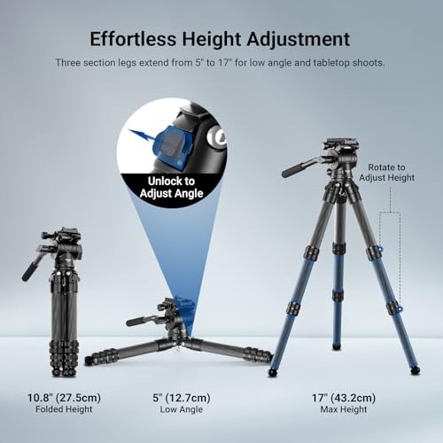 NEEWER Carbon Fiber Desktop Mini Tripod for Camera, Tabletop Portable Travel Tripod with Video Fluid Head, QR Plate for TikTok DSLR Action Camera Video Recording Streaming, Max Load 6.6lb/3kg, TP10