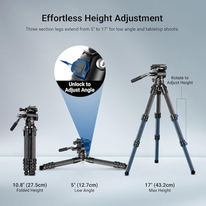NEEWER Carbon Fiber Desktop Mini Tripod for Camera, Tabletop Portable Travel Tripod with Video Fluid Head, QR Plate for TikTok DSLR Action Camera Video Recording Streaming, Max Load 6.6lb/3kg, TP10