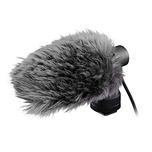 Canon USA 4474C001 Canon Stereo Microphone DM-E100 | Stereo microphone with wind screen and 1/8" TRS connector for videography, outdoor recording and content creation