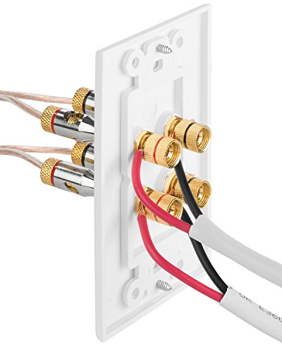 Fosmon Two Speaker Home Theater Banana Binding Post Coupler Wall Plate - size: 1 Pack