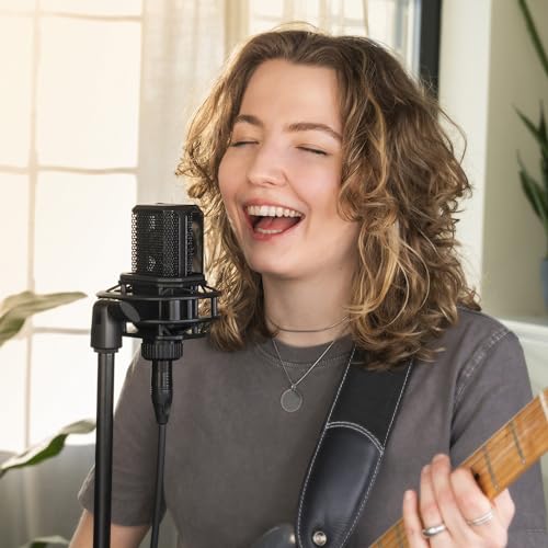 Lewitt LCT 240 Pro Condenser Mic Vocal Pack