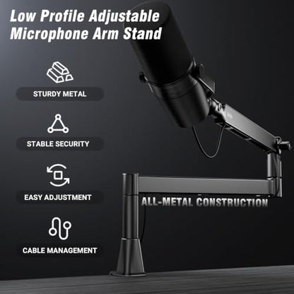 BASN Low Profile Microphone Boom Arm Stand with Desk Clamp - Rotatable & Storable Design, Cable Management Channel, 3/8" to 5/8" Thread Adapter for Podcast, Gaming, Streaming, Vocal Recording