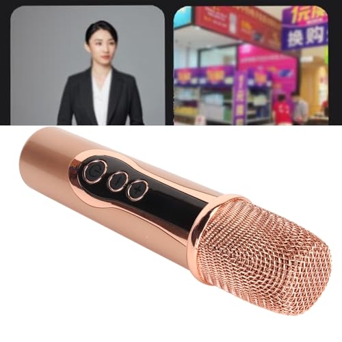 2.4G Wireless Microphone, ABS 15M Long Distance Transmission Whistling Suppression DSP Noise Reduction Chip 6.35mm 3.5mm Adapters Microphone for Outdoor Speaker (1 to 1) - size: 1 to 1