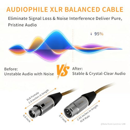 3ft XLR Cables 2 Pack, Balanced Male to Female Audio Cords, Nylon Braided Microphone Cable, Shield for Studio Podcast DJ - size: 3 Feet, style: 2 Pack
