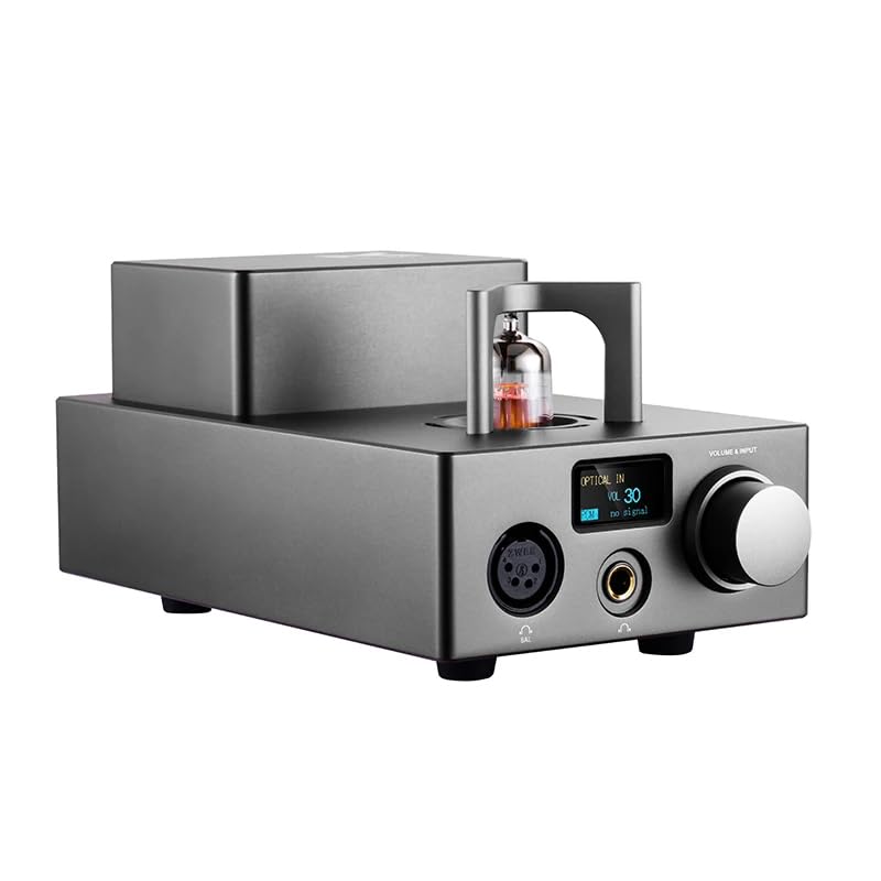 LEAUDIO XDUOO TA-10R AK4493EQ XMOS USB DSD DAC 12AU7 4XLR Tube Headphone Amplifier(Gray)