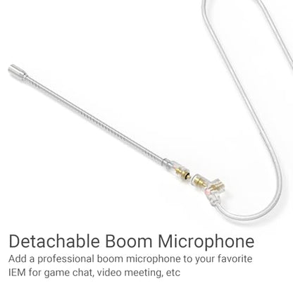 USB Type C 2-Pin 0.78mm IEM Cable with Microphone, Silver Plated OFC Wires Replacement Cable with Detachable Boom MIC for Wan'er S.G, ZS10 Pro, ZS10 Pro X, ZSN PRO, ZSX, 4 Feet - style: USB C