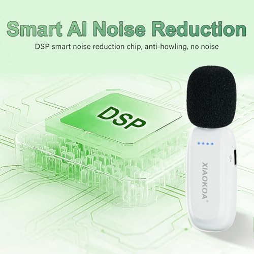 Wireless Lavalier Microphone with Voice Amplifier for Teachers | Bluetooth Speaker with Lapel Mic, Charging Portable Mini Mics, 2.4G Clip Microphones System for Tour Guides Fitness Meetings - color: White