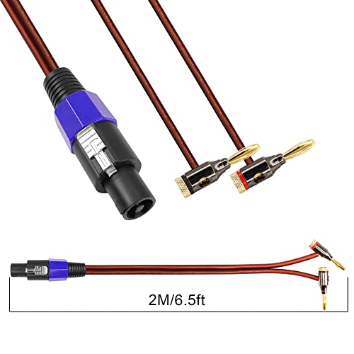 GINTOOYUN Banana Plug to Speakon Cable Double Banana Plug to Speakon Male Speaker Cable for Loudspeakers,Power Amplifiers,Stage Monitors,etc(6.5 FT)