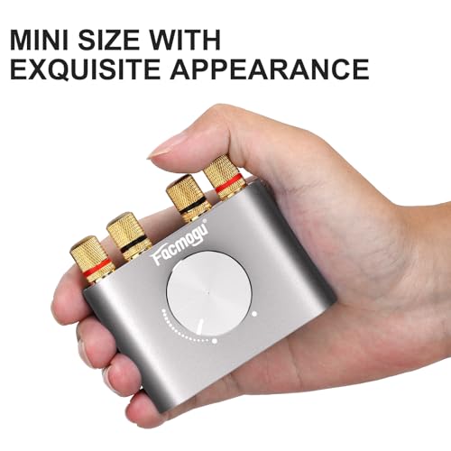Facmogu F900S Bluetooth 5.0 Mini Power Amplifier, 80Wx2 Stereo Digital Amp | 160W 2.0CH | Hi-Fi Wireless Audio Receiver | AUX/USB/BT Input | Included 12V Power Adapter | For Passive Speakers | Silver - color: Silver, size: 80W+80W