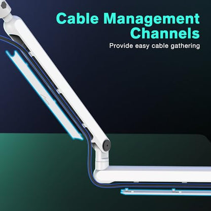 FIFINE Microphone Arm Kit, Low-Profile Boom Arm Mic Stand with Cable-Management & 10ft Balanced XLR Cable for Podcasting, Streaming & Recording-BM88W+L9W