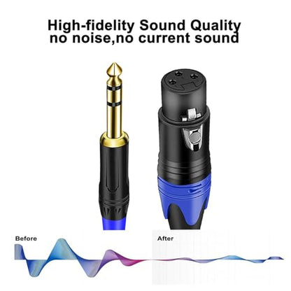 1/4 TRS to Dual XLR Cable, 1/4 Inch (6.35mm) to XLR Dual Y-Splitter Breakout Lead Microphone Cord (1/4 TRS to Dual XLR Female Cable 10 FT) - size: 1/4 Inch TRS to Dual XLR Female - 10 FT