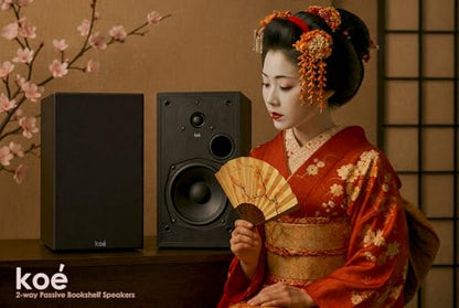 Audio Express Koe’ B102 – 100 Watt Home Theater, Passive Bookshelf Speakers (Pair) Hi-Res Audio, Excellent Response, HiFi, Satellites, Includes SPL/Freq Graph, Wall-Mountable, Black
