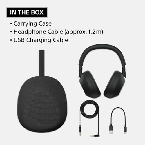 Sony WH-1000XM6 Wireless Noise Canceling Headphones, HD NC Processor QN3, 12 Mics, Adaptive NC Optimizer, Platinum Silver, Headphone Stand, 1-Year Warranty - color: Platinum Silver