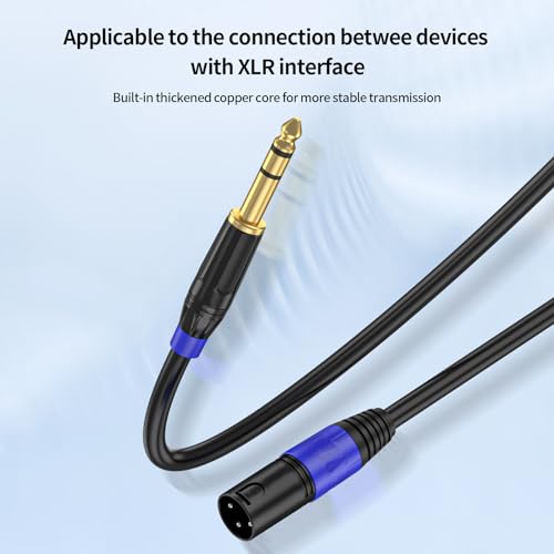 1/4" TRS to XLR 3M Pro Balanced Interconnect Cable,XLR Male to 1/4 Inch (6.35mm) Stereo Balanced Microphone Stereo Audio Converter AdapterCable 2Pack- 10FT - style: XLR Male to 6.35mm-2Pack