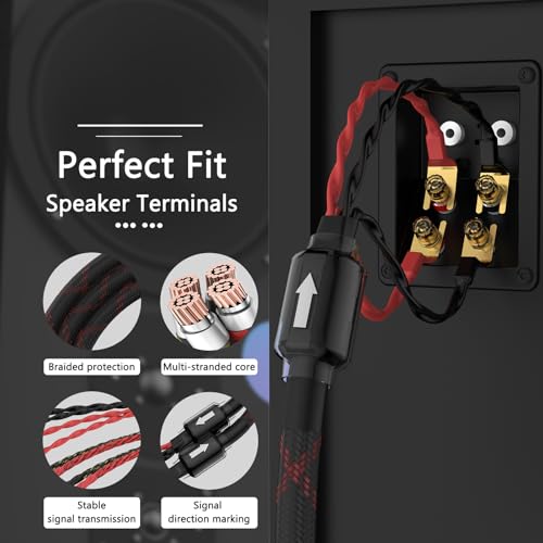 Tertullus 1 Pair Biwire Speaker Cable 8 Spade Plugs 4 Gold Plated Banana Plugs (2.5m/8.20ft) - size: 8.20 ft