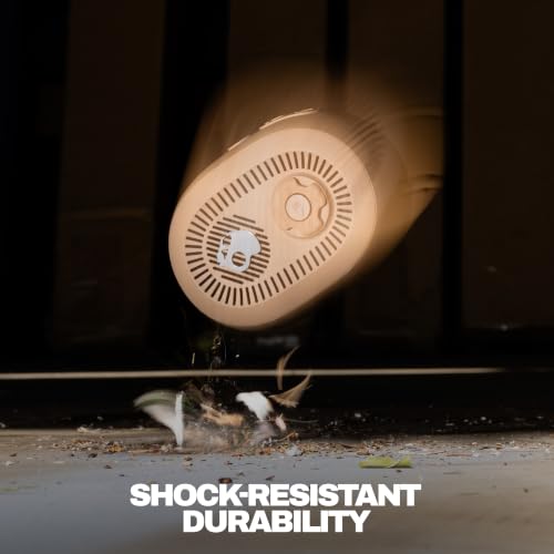 Skullcandy Session 540 Portable Lightweight Bluetooth Speaker - Primer | Waterproof, Dustproof, 17 Hours of Playtime, Built for Home, Outdoors, Party, Travel, Big Sound, iPhone Android Compatible - color: Primer