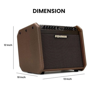 Fishman Loudbox Mini Charge Battery-Powered 60-Watt Acoustic Guitar Combo Amplifier Bundle with Gearlux XLR Cable, Instrument Cable, and Austin Bazaar Polishing Cloth - size: Mini Charge 60W