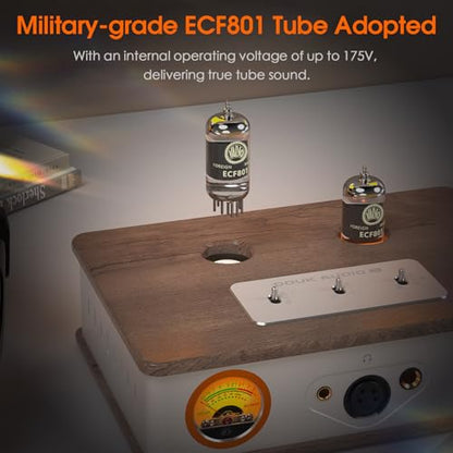 Douk Audio Tube Headphone Amp: for XLR, 4.4mm, 6.35mm HiFi Headphones, Stereo Preamplifier for Amplifiers, Speakers, Home Desktop Audio System, with VU Meter & German Valvo Vacuum Tubes (E2)