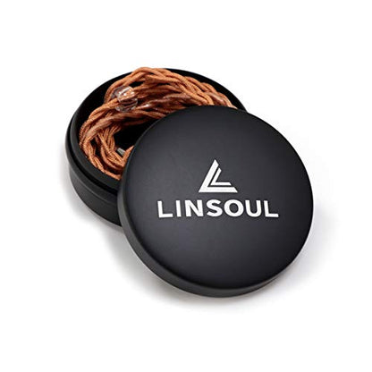 Linsoul Mini Portable Aluminum Storage Earphone Case, Water Resistant | Hard Protective Traval Carrying Case for KZ ZS10 PRO, Kiwi Ears Orchestra lite/Singolo/Cadenza, Simgot EA500LM, Tangzu Wan'er